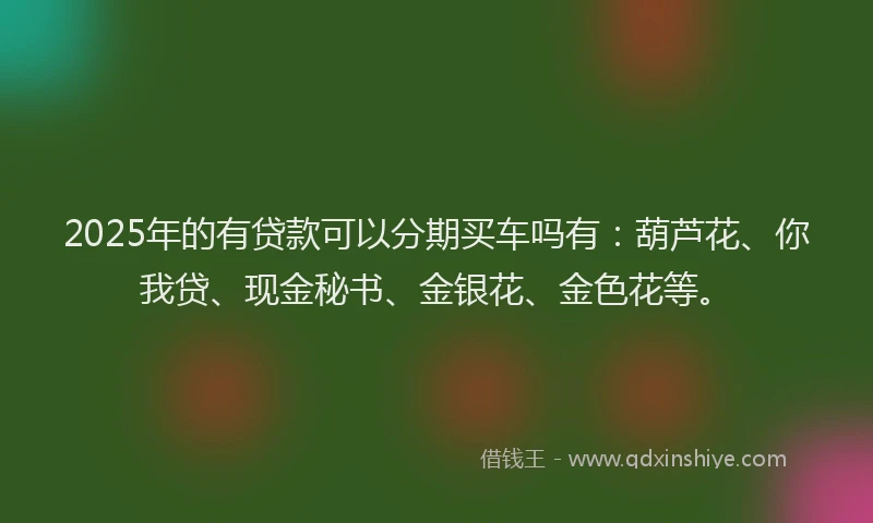 2025年的有贷款可以分期买车吗有：葫芦花、你我贷、现金秘书、金银花、金色花等。
