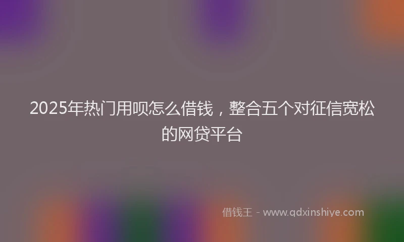 2025年热门用呗怎么借钱，整合五个对征信宽松的网贷平台