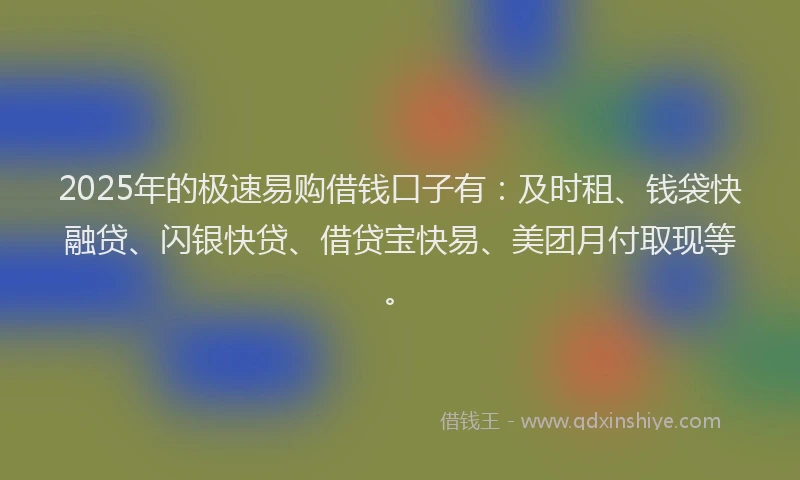 2025年的极速易购借钱口子有：及时租、钱袋快融贷、闪银快贷、借贷宝快易、美团月付取现等。