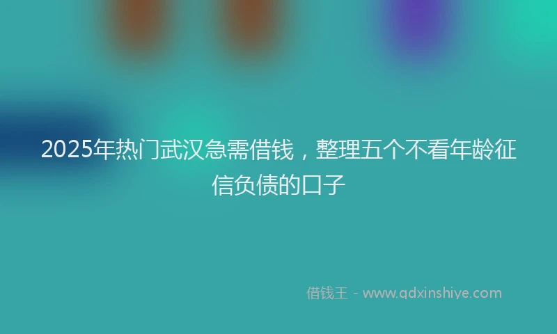2025年热门武汉急需借钱，整理五个不看年龄征信负债的口子