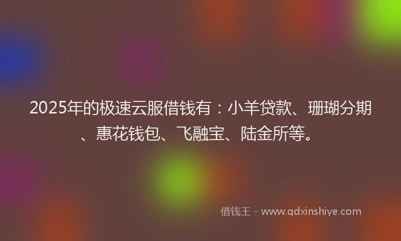 2025年的极速云服借钱有：小羊贷款、珊瑚分期、惠花钱包、飞融宝、陆金所等。