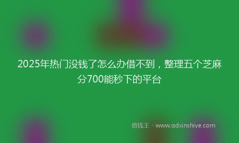 2025年热门没钱了怎么办借不到，整理五个芝麻分700能秒下的平台