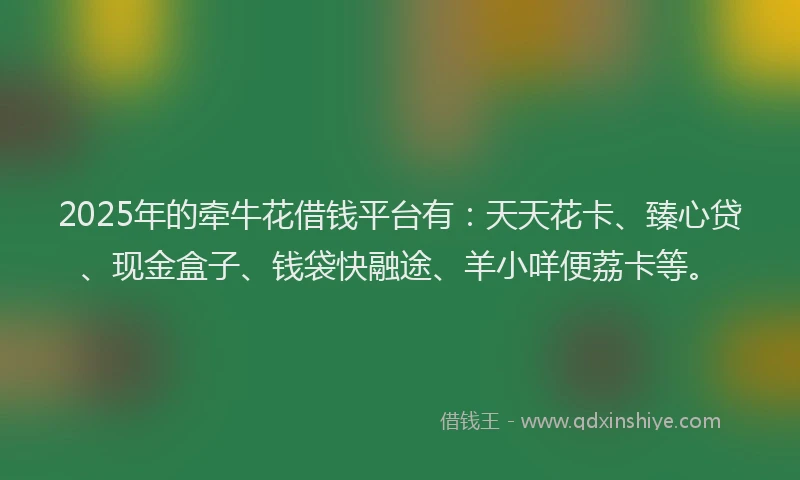 2025年的牵牛花借钱平台有：天天花卡、臻心贷、现金盒子、钱袋快融途、羊小咩便荔卡等。
