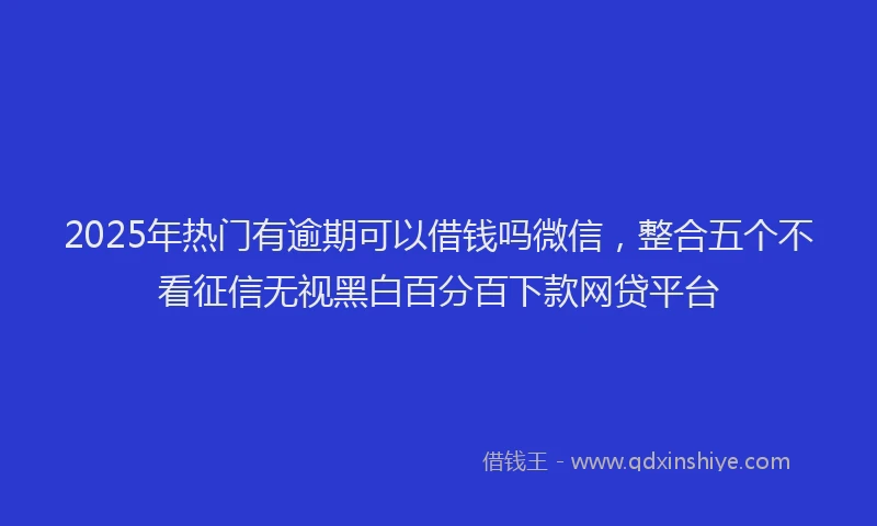 2025年热门有逾期可以借钱吗微信，整合五个不看征信无视黑白百分百下款网贷平台
