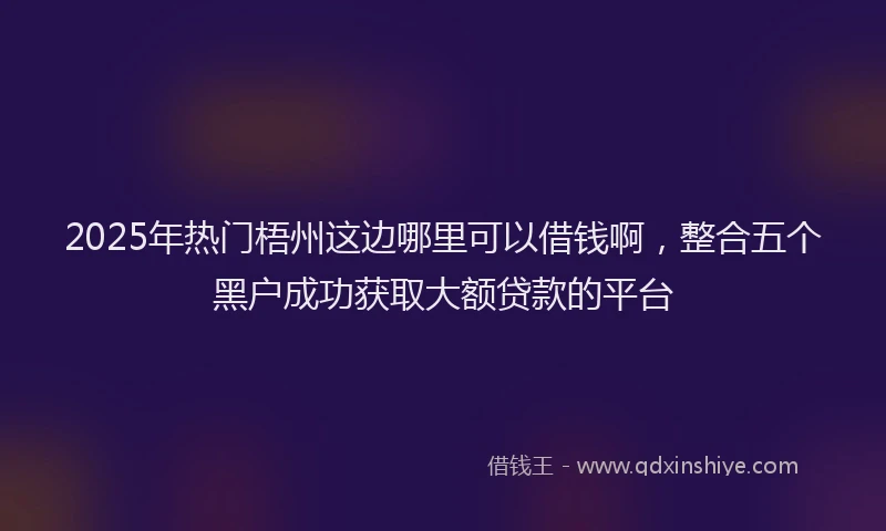 2025年热门梧州这边哪里可以借钱啊，整合五个黑户成功获取大额贷款的平台