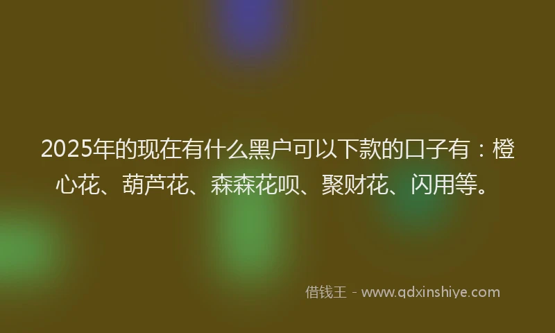 2025年的现在有什么黑户可以下款的口子有：橙心花、葫芦花、森森花呗、聚财花、闪用等。
