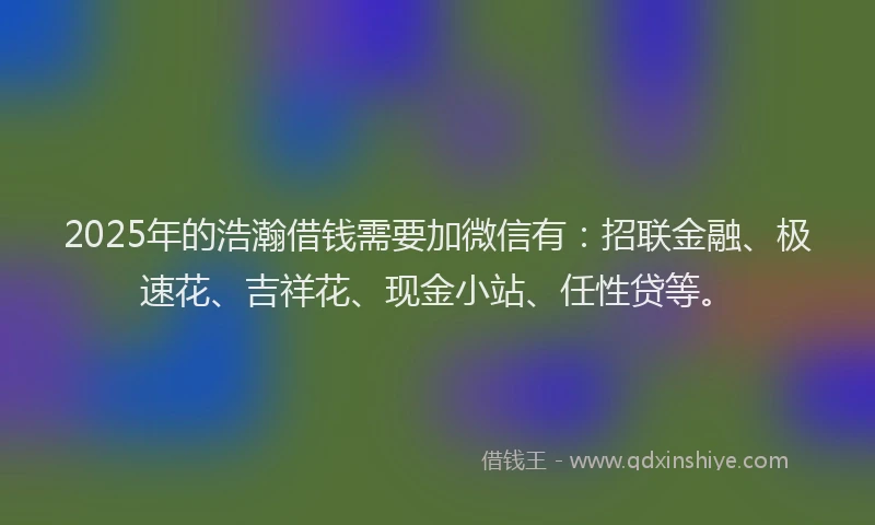 2025年的浩瀚借钱需要加微信有：招联金融、极速花、吉祥花、现金小站、任性贷等。