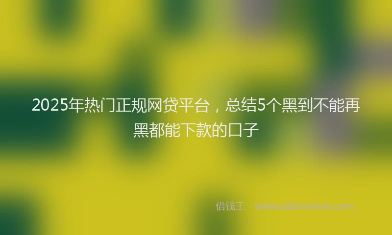 2025年热门正规网贷平台，总结5个黑到不能再黑都能下款的口子