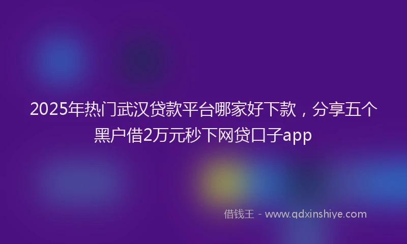 2025年热门武汉贷款平台哪家好下款，分享五个黑户借2万元秒下网贷口子app