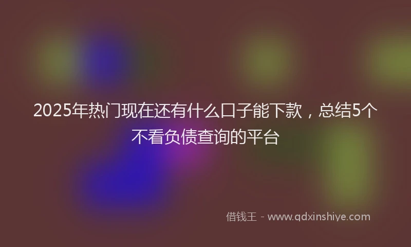 2025年热门现在还有什么口子能下款，总结5个不看负债查询的平台