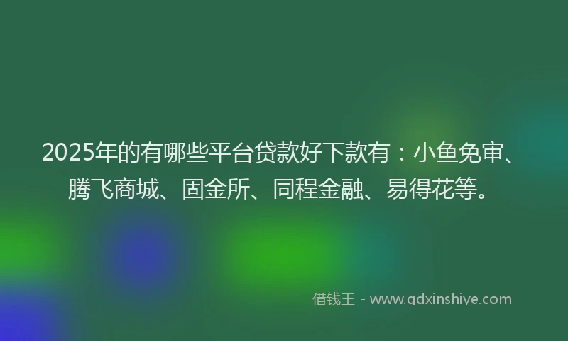 2025年的有哪些平台贷款好下款有：小鱼免审、腾飞商城、固金所、同程金融、易得花等。