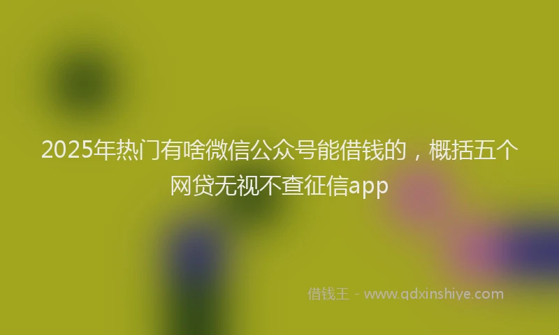 2025年热门有啥微信公众号能借钱的，概括五个网贷无视不查征信app