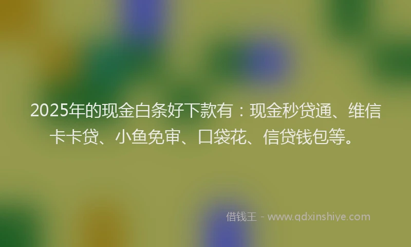 2025年的现金白条好下款有：现金秒贷通、维信卡卡贷、小鱼免审、口袋花、信贷钱包等。