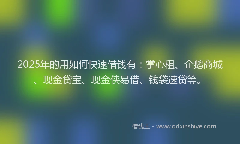 2025年的用如何快速借钱有：掌心租、企鹅商城、现金贷宝、现金侠易借、钱袋速贷等。