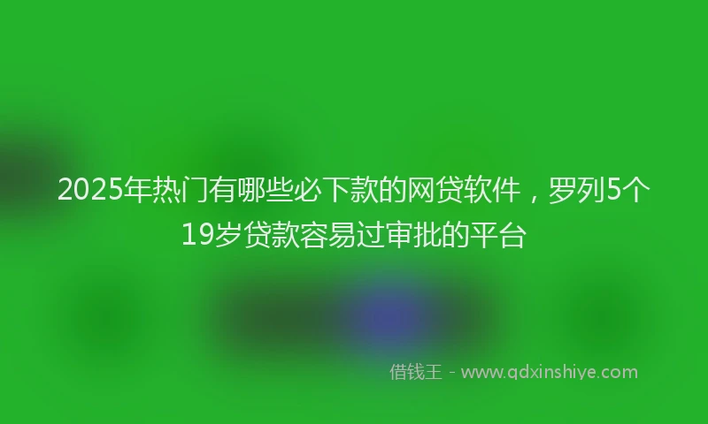 2025年热门有哪些必下款的网贷软件，罗列5个19岁贷款容易过审批的平台