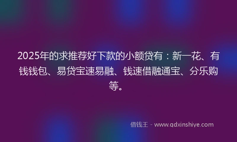 2025年的求推荐好下款的小额贷有：新一花、有钱钱包、易贷宝速易融、钱速借融通宝、分乐购等。