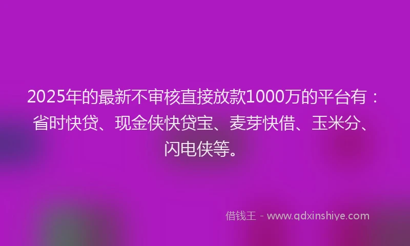 2025年的最新不审核直接放款1000万的平台有：省时快贷、现金侠快贷宝、麦芽快借、玉米分、闪电侠等。