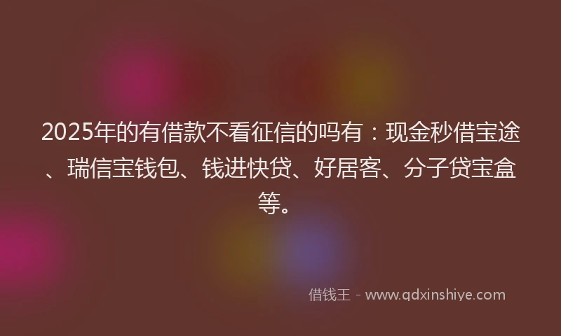 2025年的有借款不看征信的吗有：现金秒借宝途、瑞信宝钱包、钱进快贷、好居客、分子贷宝盒等。