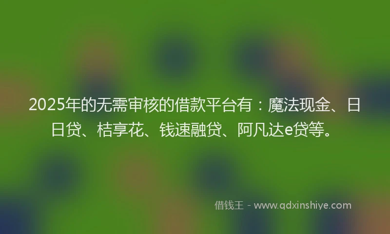 2025年的无需审核的借款平台有：魔法现金、日日贷、桔享花、钱速融贷、阿凡达e贷等。