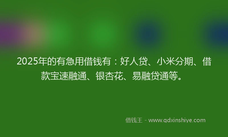 2025年的有急用借钱有：好人贷、小米分期、借款宝速融通、银杏花、易融贷通等。