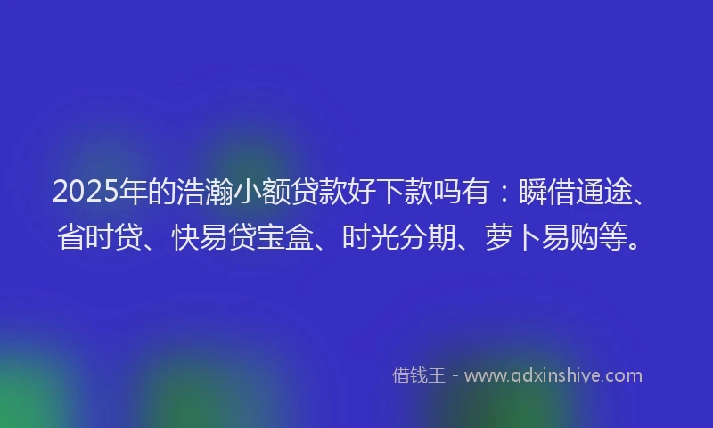 2025年的浩瀚小额贷款好下款吗有：瞬借通途、省时贷、快易贷宝盒、时光分期、萝卜易购等。