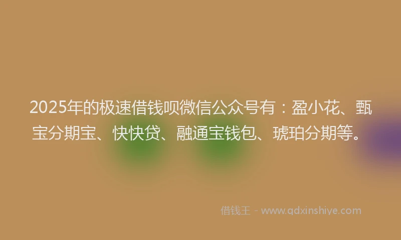 2025年的极速借钱呗微信公众号有：盈小花、甄宝分期宝、快快贷、融通宝钱包、琥珀分期等。