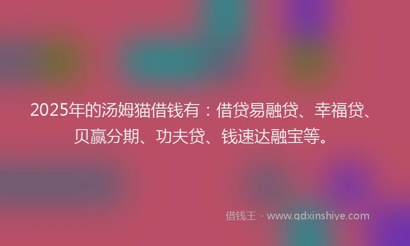 2025年的汤姆猫借钱有：借贷易融贷、幸福贷、贝赢分期、功夫贷、钱速达融宝等。