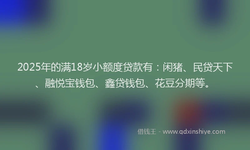 2025年的满18岁小额度贷款有：闲猪、民贷天下、融悦宝钱包、鑫贷钱包、花豆分期等。