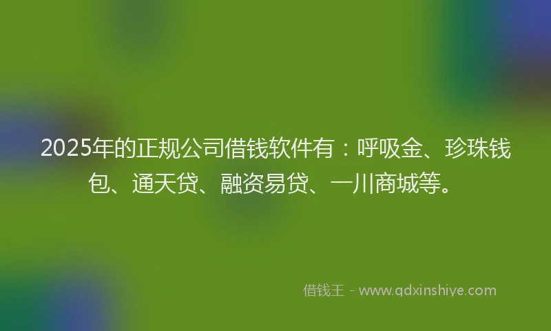 2025年的正规公司借钱软件有：呼吸金、珍珠钱包、通天贷、融资易贷、一川商城等。