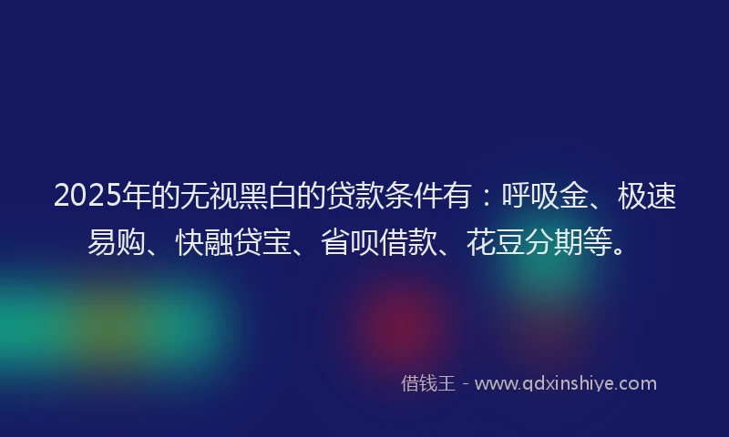2025年的无视黑白的贷款条件有：呼吸金、极速易购、快融贷宝、省呗借款、花豆分期等。