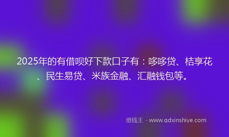 2025年的有借呗好下款口子有：哆哆贷、桔享花、民生易贷、米族金融、汇融钱包等。