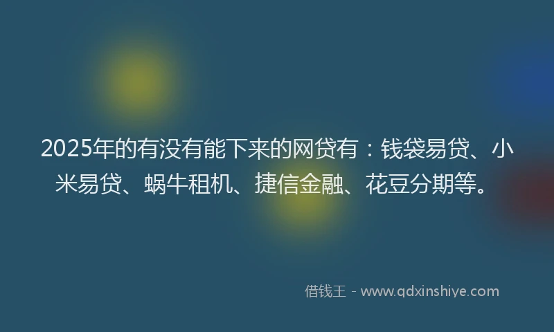 2025年的有没有能下来的网贷有：钱袋易贷、小米易贷、蜗牛租机、捷信金融、花豆分期等。