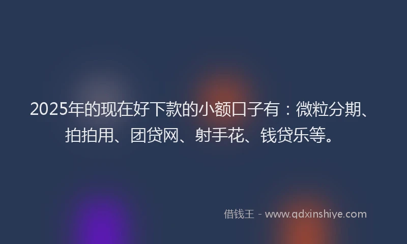 2025年的现在好下款的小额口子有：微粒分期、拍拍用、团贷网、射手花、钱贷乐等。