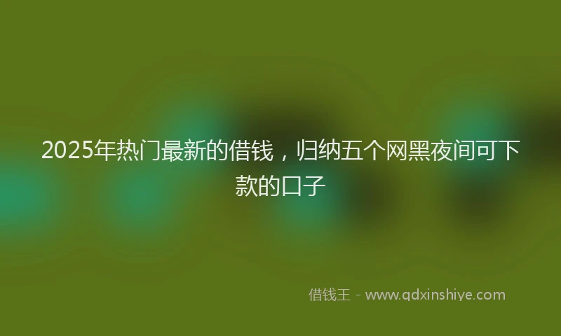 2025年热门最新的借钱，归纳五个网黑夜间可下款的口子