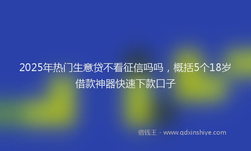 2025年热门生意贷不看征信吗吗，概括5个18岁借款神器快速下款口子