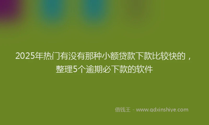 2025年热门有没有那种小额贷款下款比较快的，整理5个逾期必下款的软件