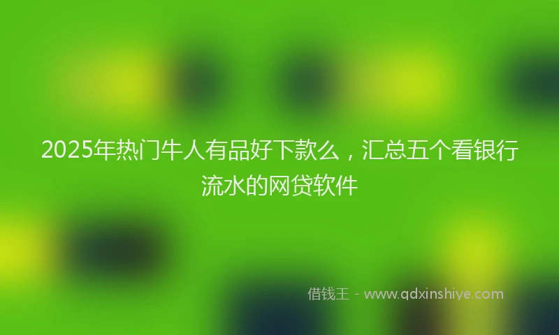 2025年热门牛人有品好下款么，汇总五个看银行流水的网贷软件