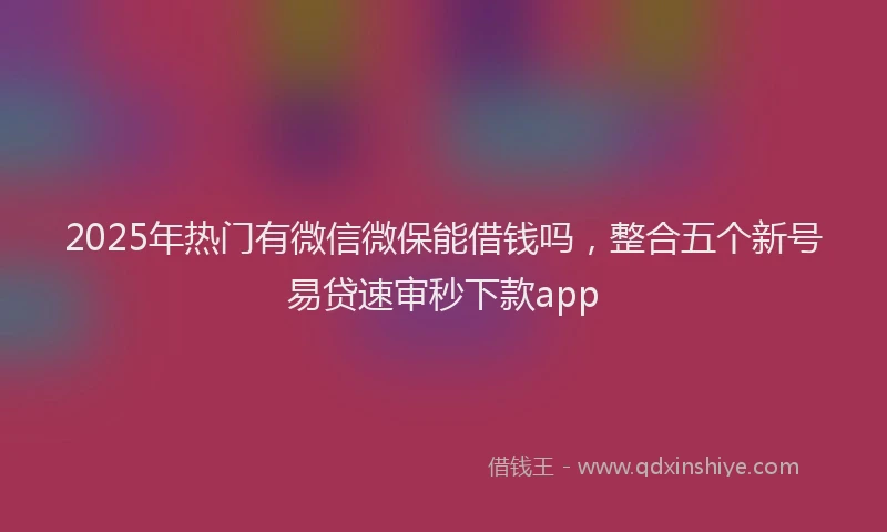 2025年热门有微信微保能借钱吗，整合五个新号易贷速审秒下款app