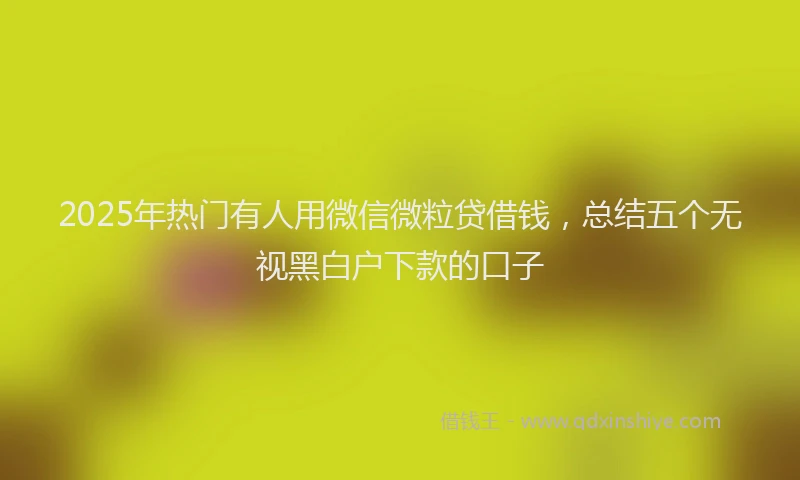 2025年热门有人用微信微粒贷借钱，总结五个无视黑白户下款的口子