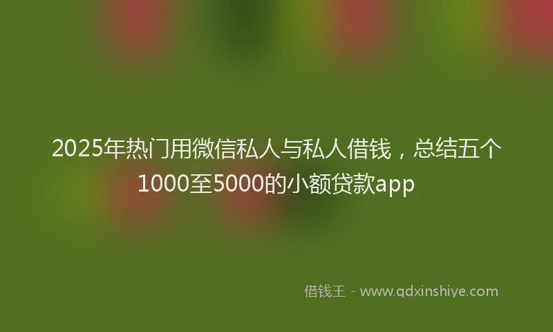 2025年热门用微信私人与私人借钱，总结五个1000至5000的小额贷款app