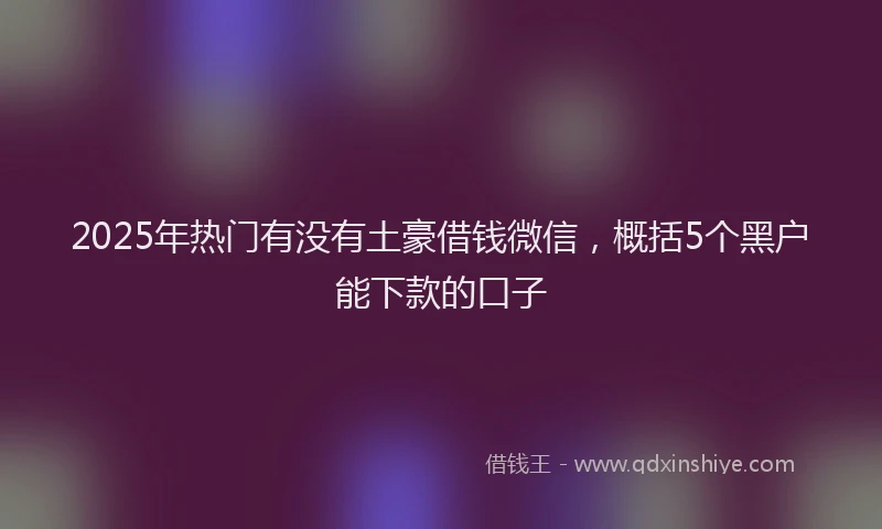 2025年热门有没有土豪借钱微信，概括5个黑户能下款的口子