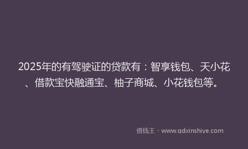 2025年的有驾驶证的贷款有：智享钱包、天小花、借款宝快融通宝、柚子商城、小花钱包等。