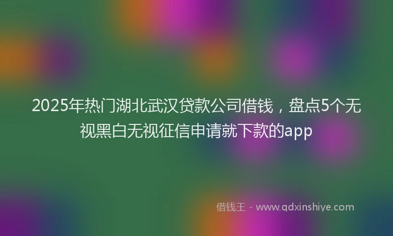 2025年热门湖北武汉贷款公司借钱，盘点5个无视黑白无视征信申请就下款的app