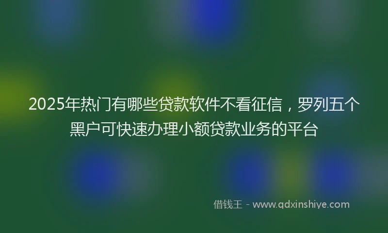 2025年热门有哪些贷款软件不看征信，罗列五个黑户可快速办理小额贷款业务的平台