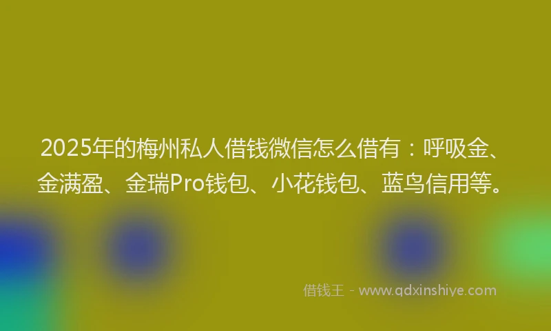 2025年的梅州私人借钱微信怎么借有：呼吸金、金满盈、金瑞Pro钱包、小花钱包、蓝鸟信用等。