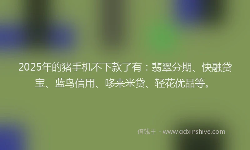 2025年的猪手机不下款了有：翡翠分期、快融贷宝、蓝鸟信用、哆来米贷、轻花优品等。