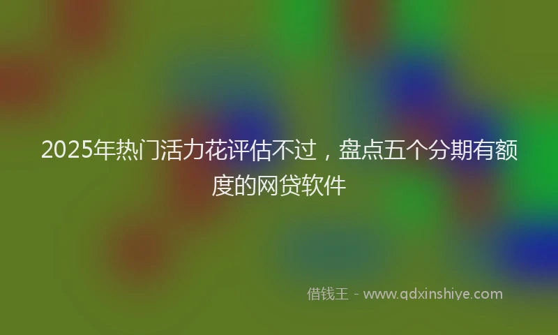 2025年热门活力花评估不过，盘点五个分期有额度的网贷软件