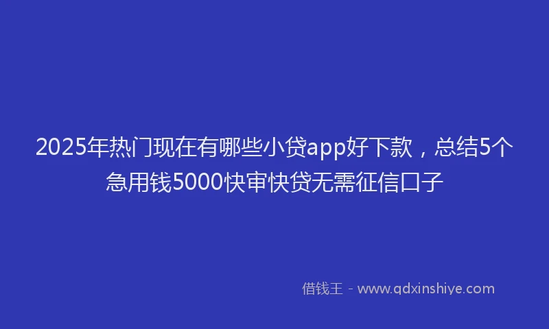 2025年热门现在有哪些小贷app好下款，总结5个急用钱5000快审快贷无需征信口子