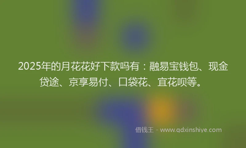 2025年的月花花好下款吗有：融易宝钱包、现金贷途、京享易付、口袋花、宜花呗等。