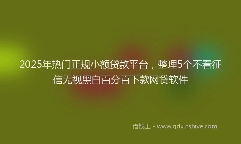 2025年热门正规小额贷款平台，整理5个不看征信无视黑白百分百下款网贷软件